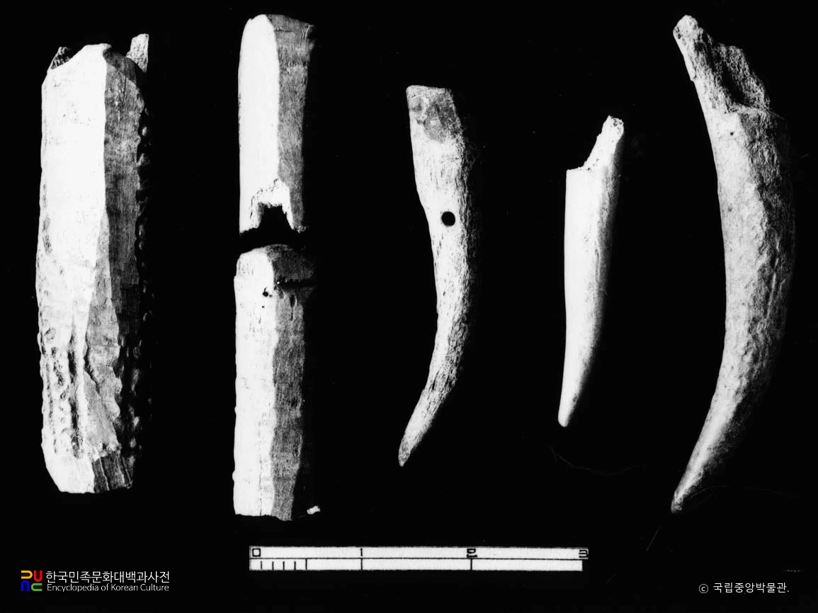 경남 양산 남부동 패총 녹각제도자병 녹각제가공품