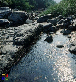 천성산계곡