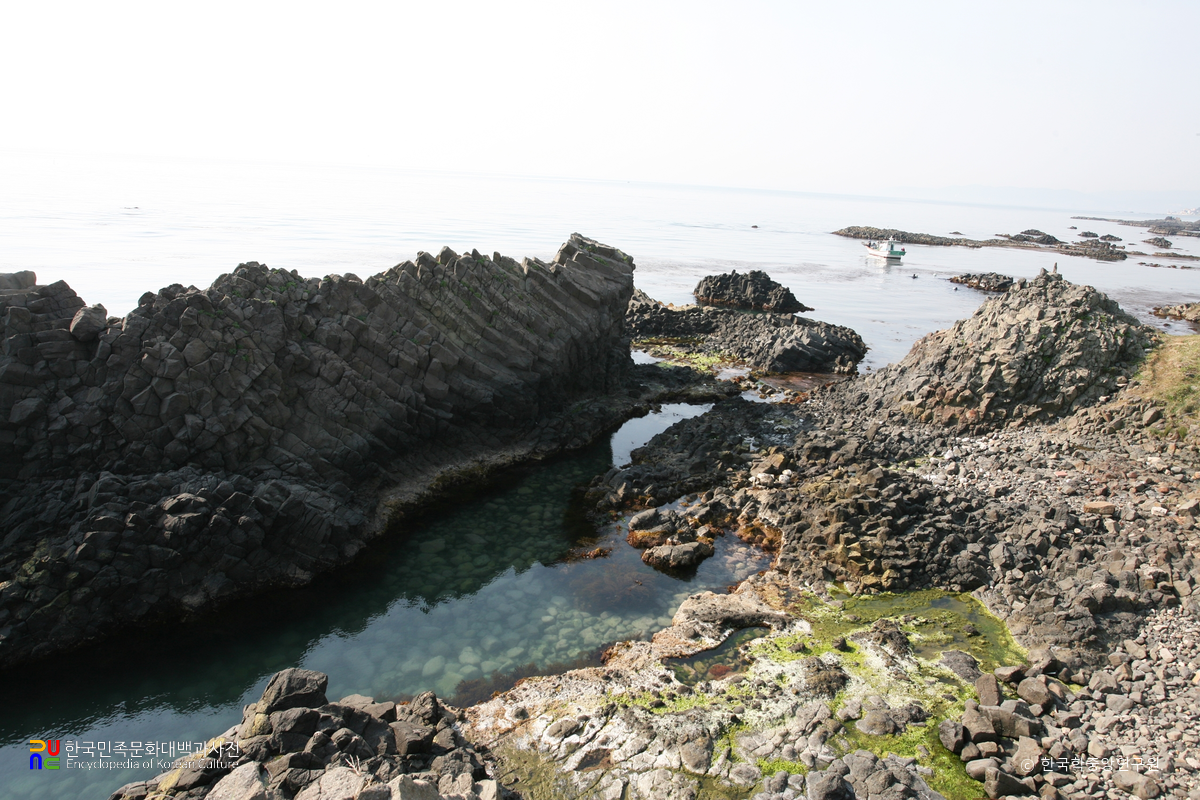 경주 양남 주상절리군