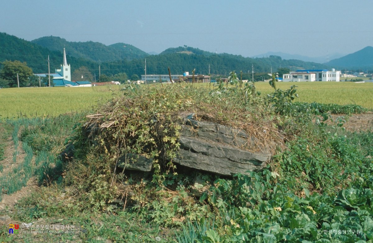 학림리 지석묘