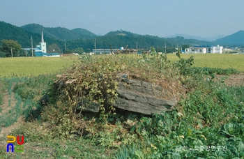 학림리 지석묘