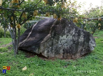 울주 지내리 지석묘 전경