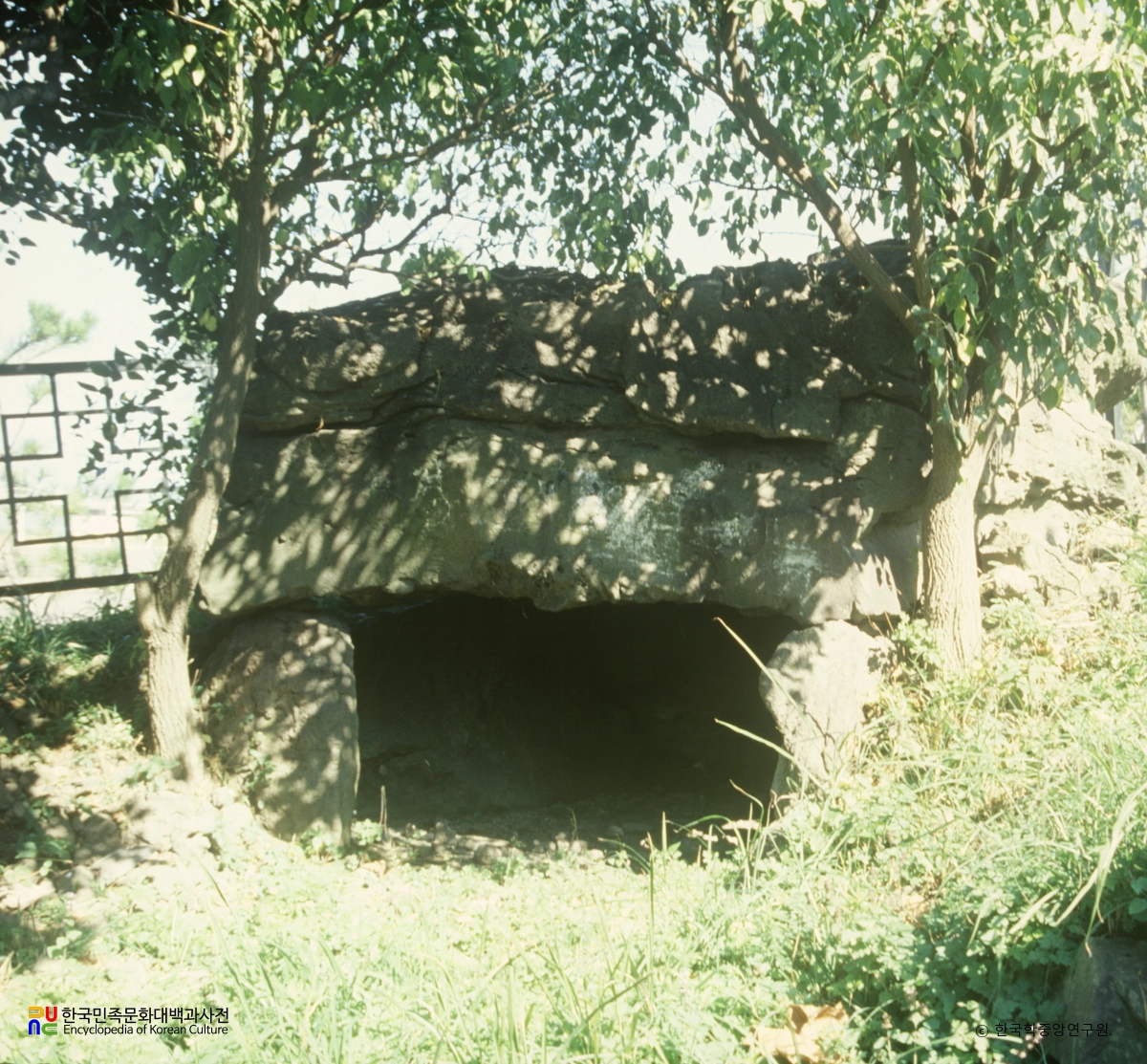 제주 용담 지석묘 5호