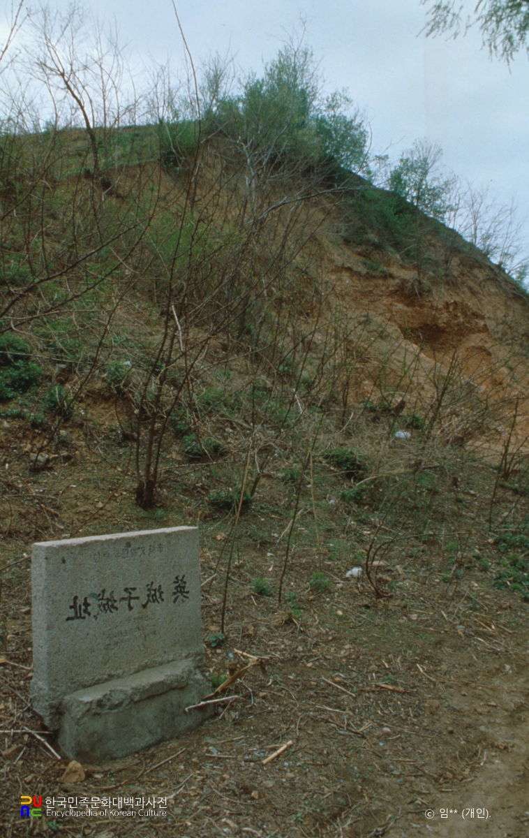 중국 요령 안시성 성벽 절개면