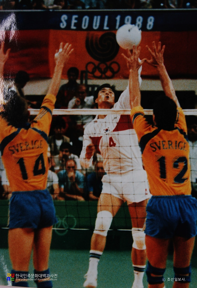 배구 / 서울올림픽대회