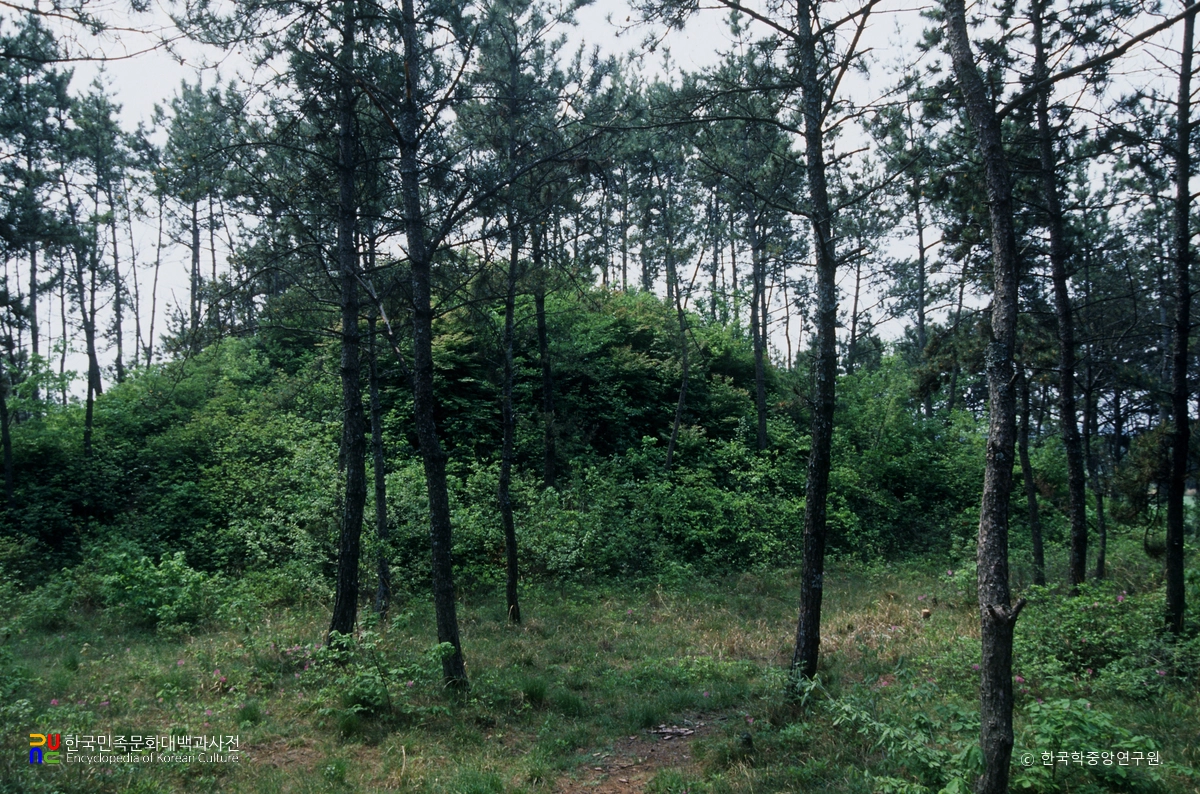 해남 방산리 장고봉 고분