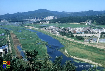 메이플 슬롯