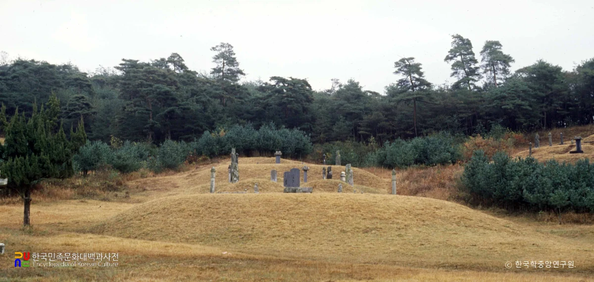 조선시대 사대부의 민묘