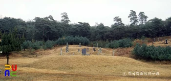 조선시대 사대부의 민묘