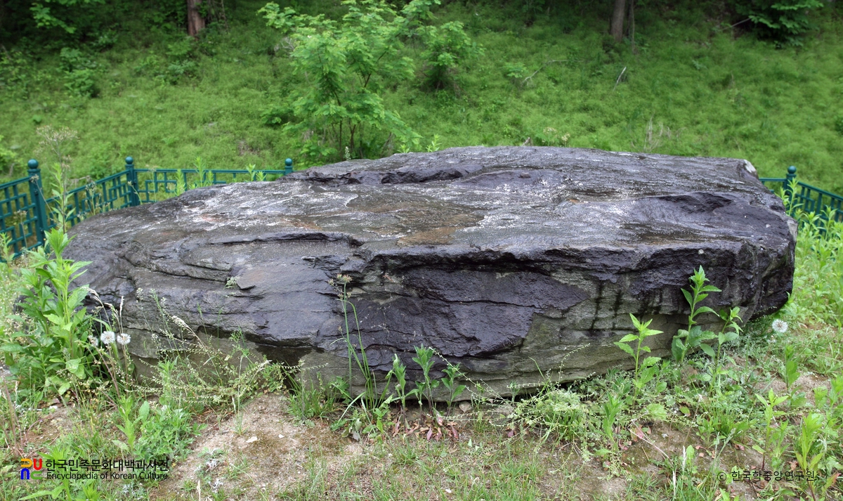 대전 비래동 고인돌 1호
