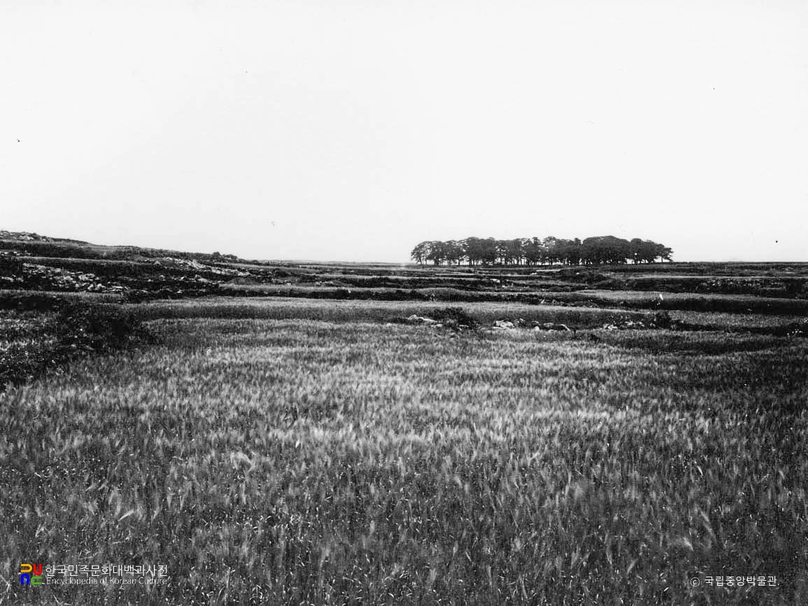 제주 제주 삼성혈 원경