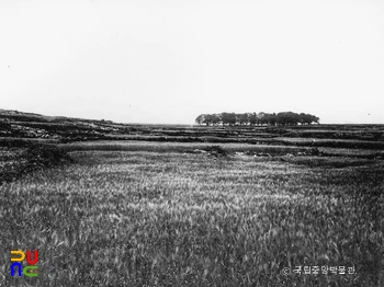 제주 제주 삼성혈 원경