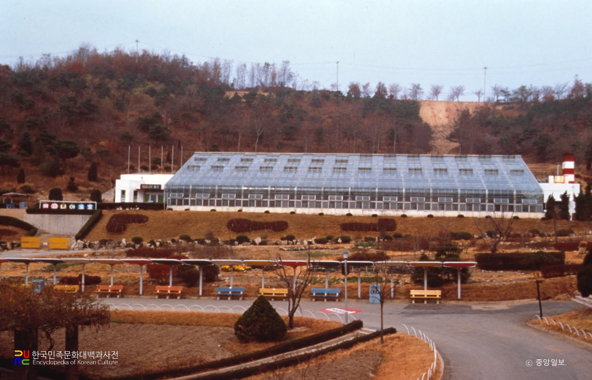 에버랜드 리조트 / 식물원