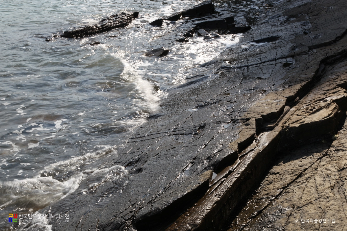 남해 가인리 화석산지