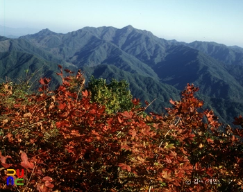 치악산