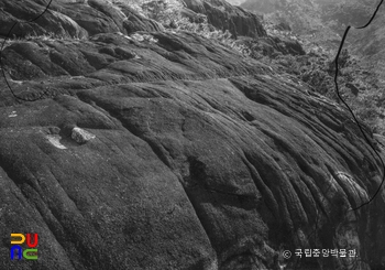 경주 남산 삼릉계 선각육존불상 상면 석구