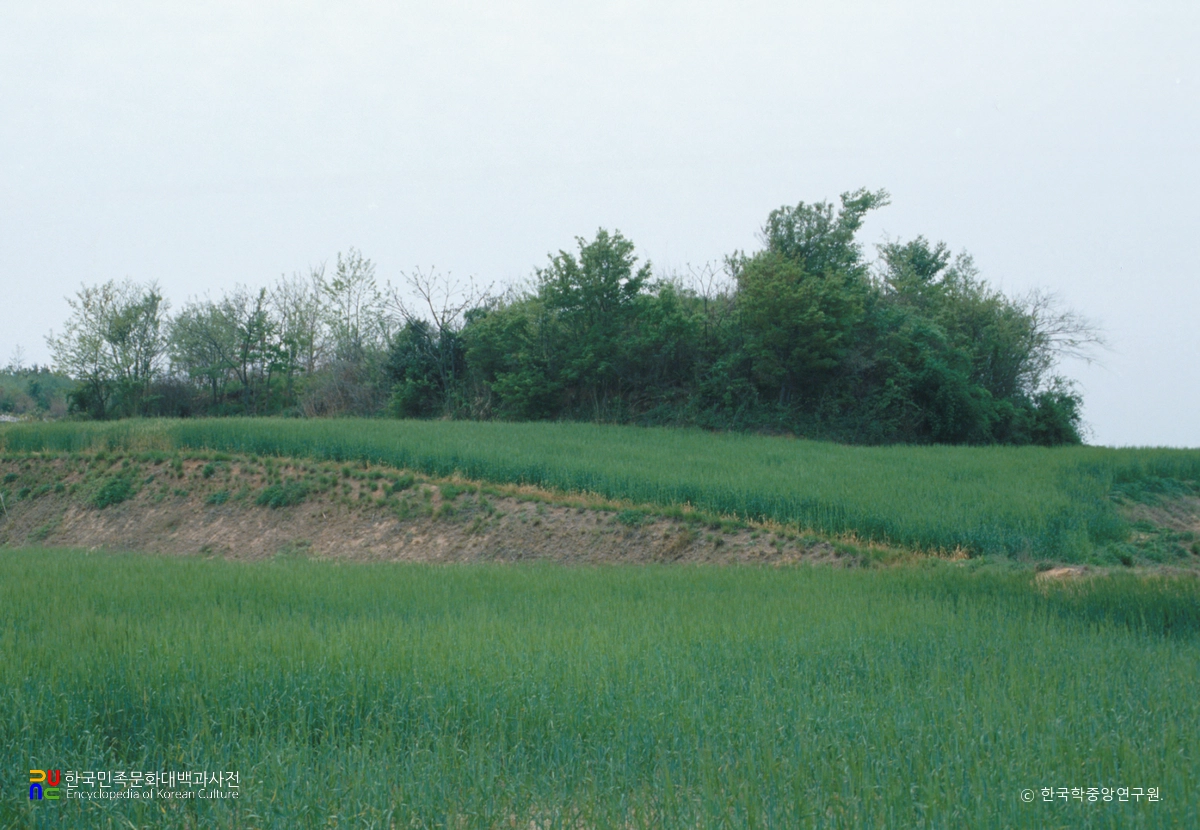 해남 용두리 고분