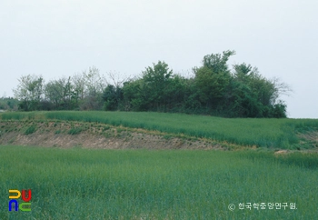 해남 용두리 고분