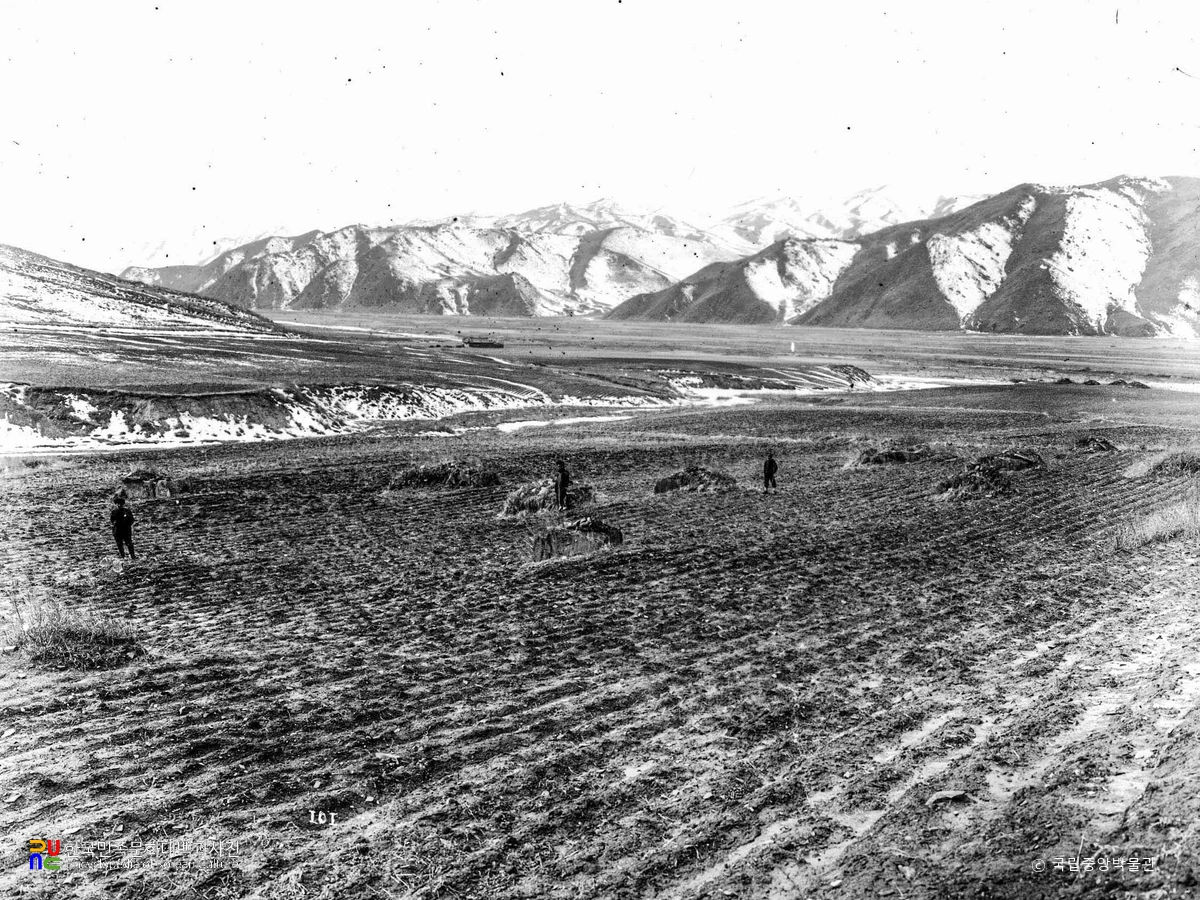 함북 부령 부거동 복호시 고분군