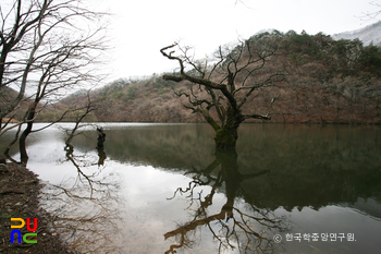 청송 주산지 일원