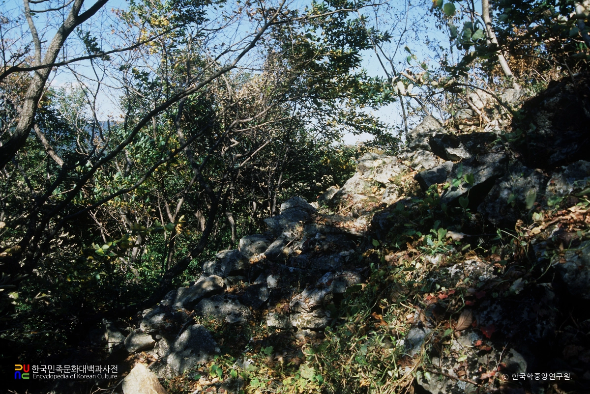 금산 백령성 성벽