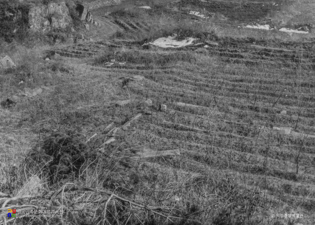 장풍 현화사터 초석