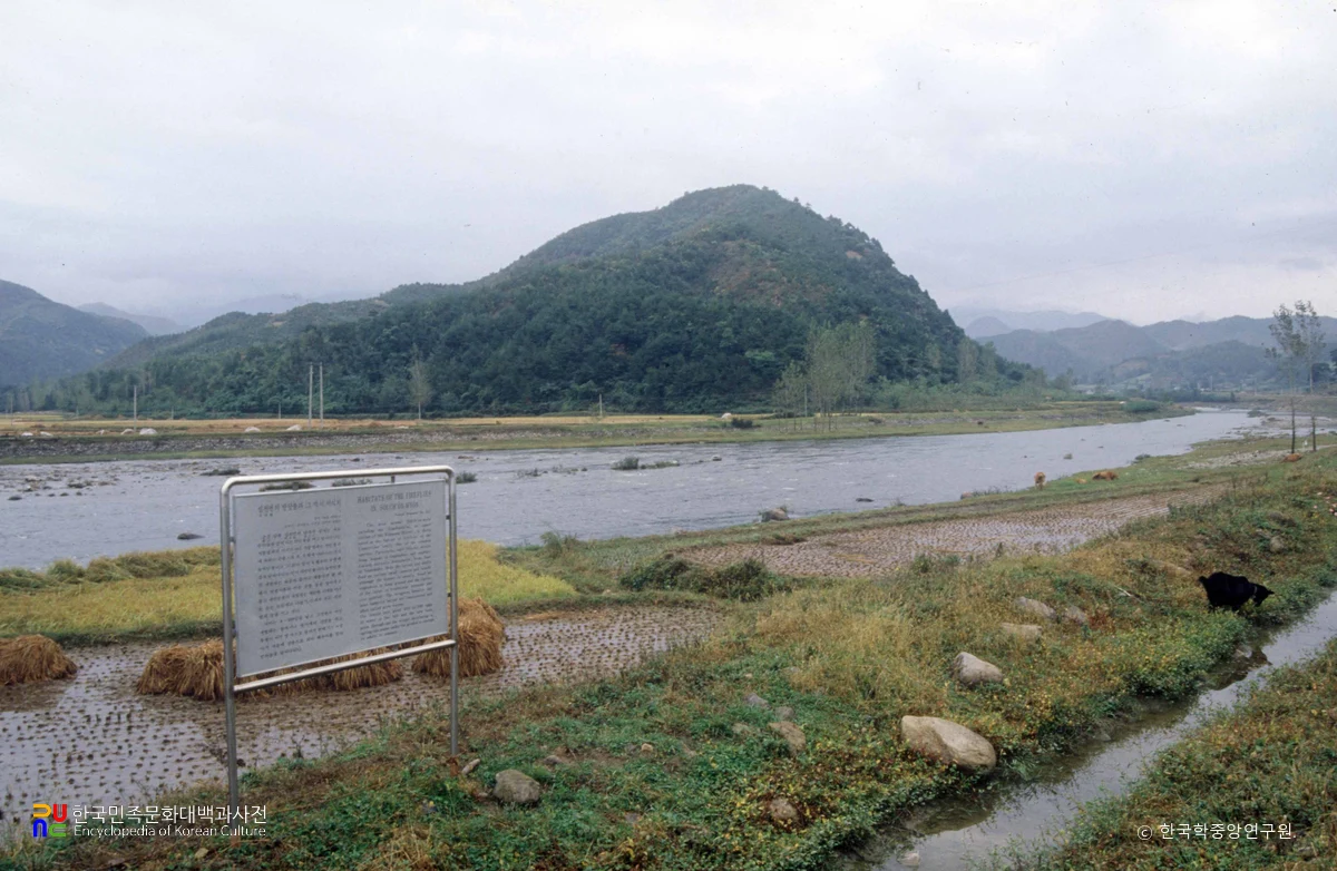 무주 설천면 일원의 반딧불과 그 먹이(다슬기) 서식지