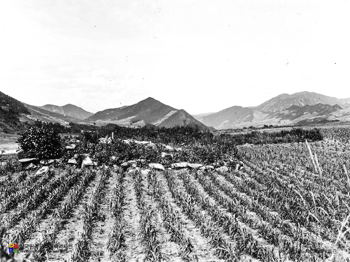 위원 신천동 고구려 고분 전경