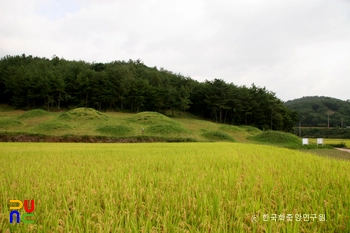 의령 운곡리 고분군 전경