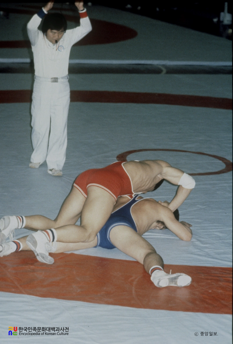 전국체육대회 / 레슬링