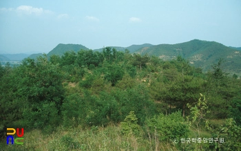 의성 장림동 고분군 전경