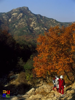 슬롯 머신 배팅 방법