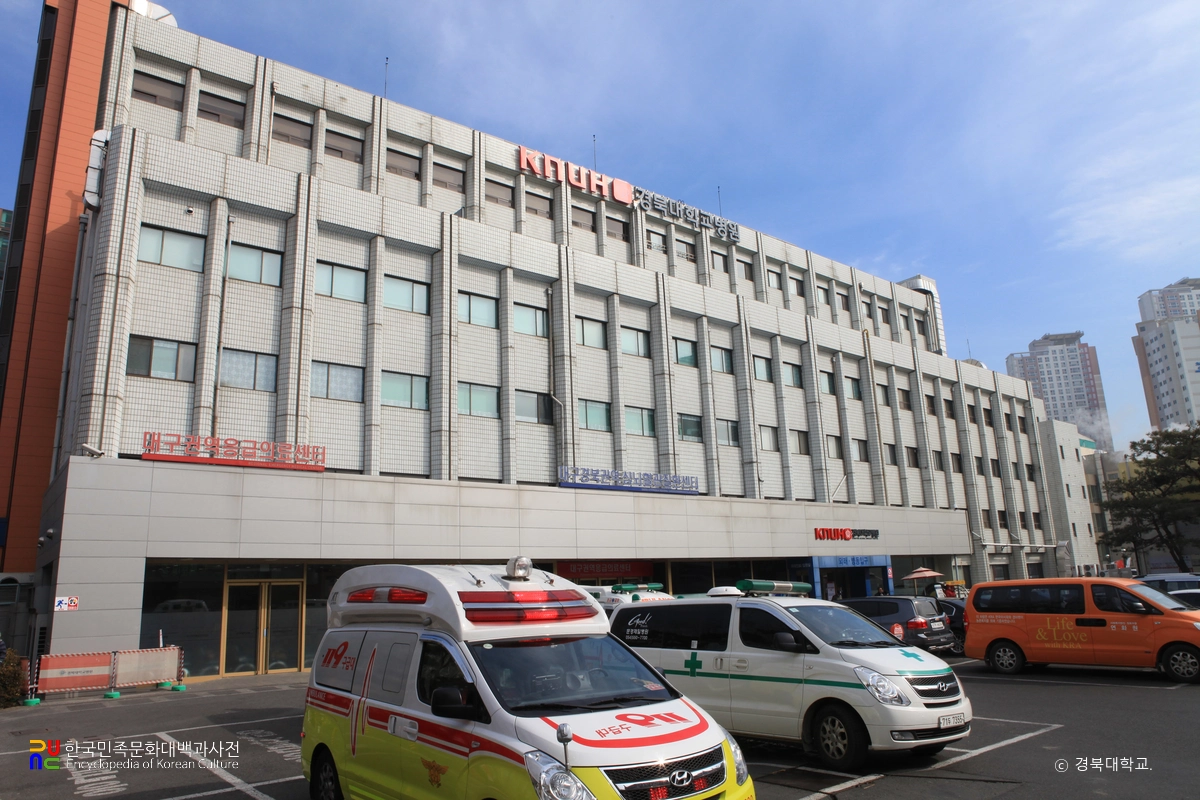 경북대학교 병원