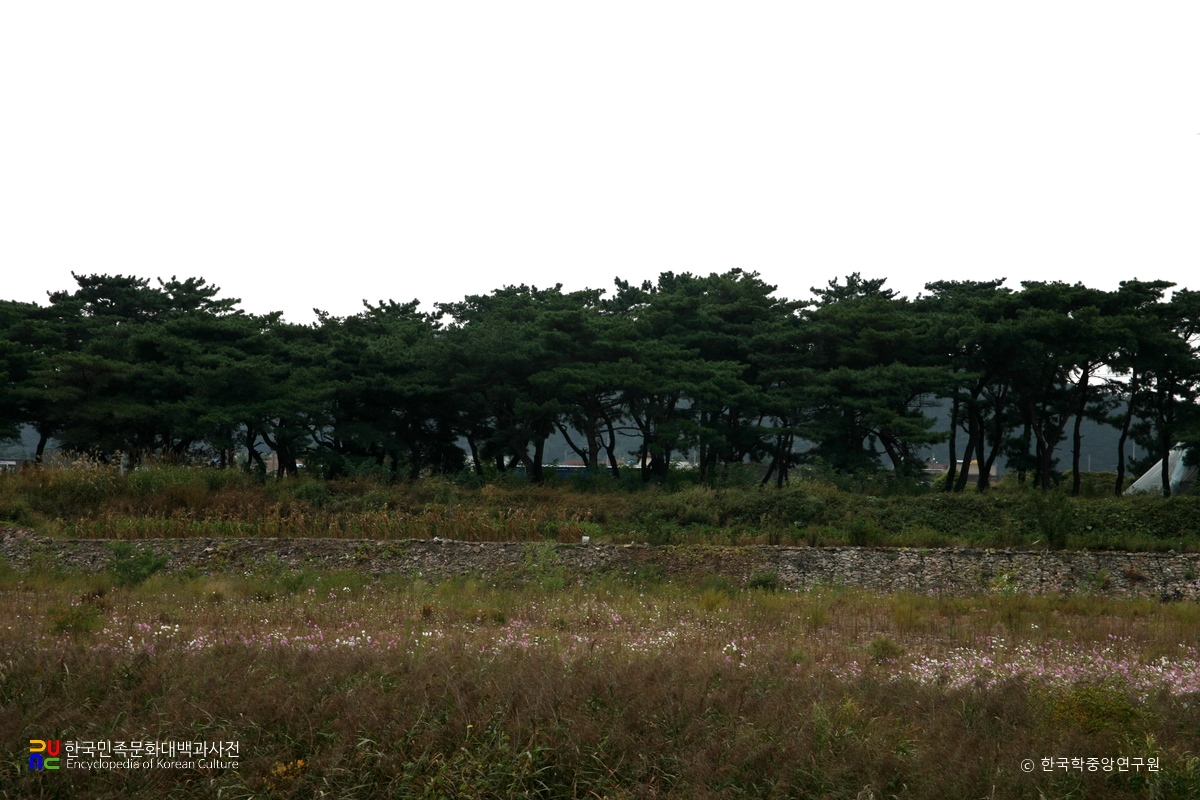 포항 북송리 북천수
