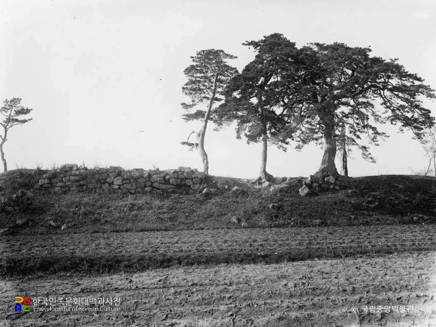 정평 흥성리 장성 성벽