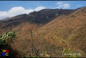 운장산