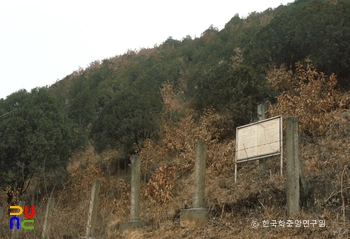 단양 영천리 측백슬롯 머신 사이트 숲