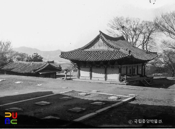 경주 불국사 중 극락전 좌측면 일대