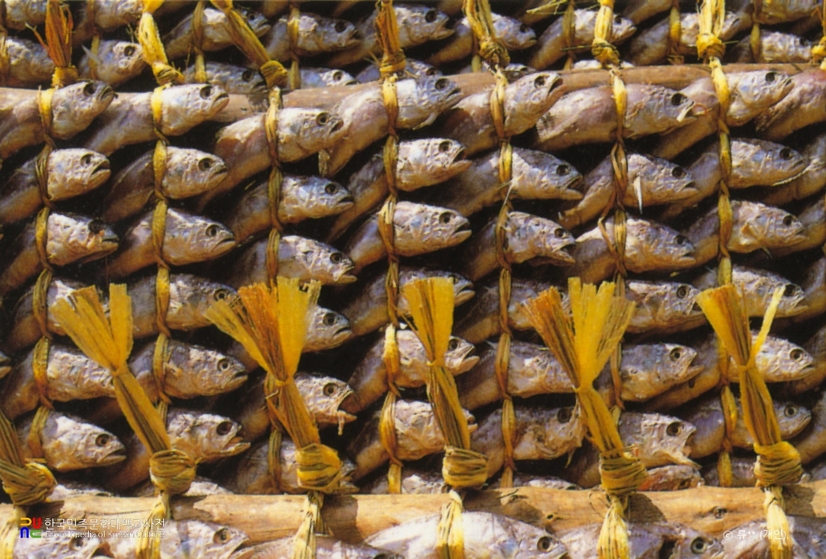 굴비 건조 / 영광굴비