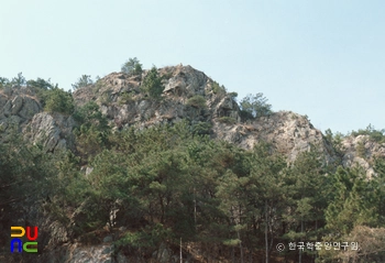 천정대