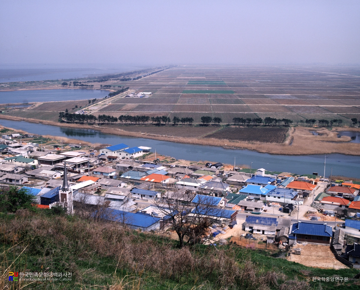간척촌