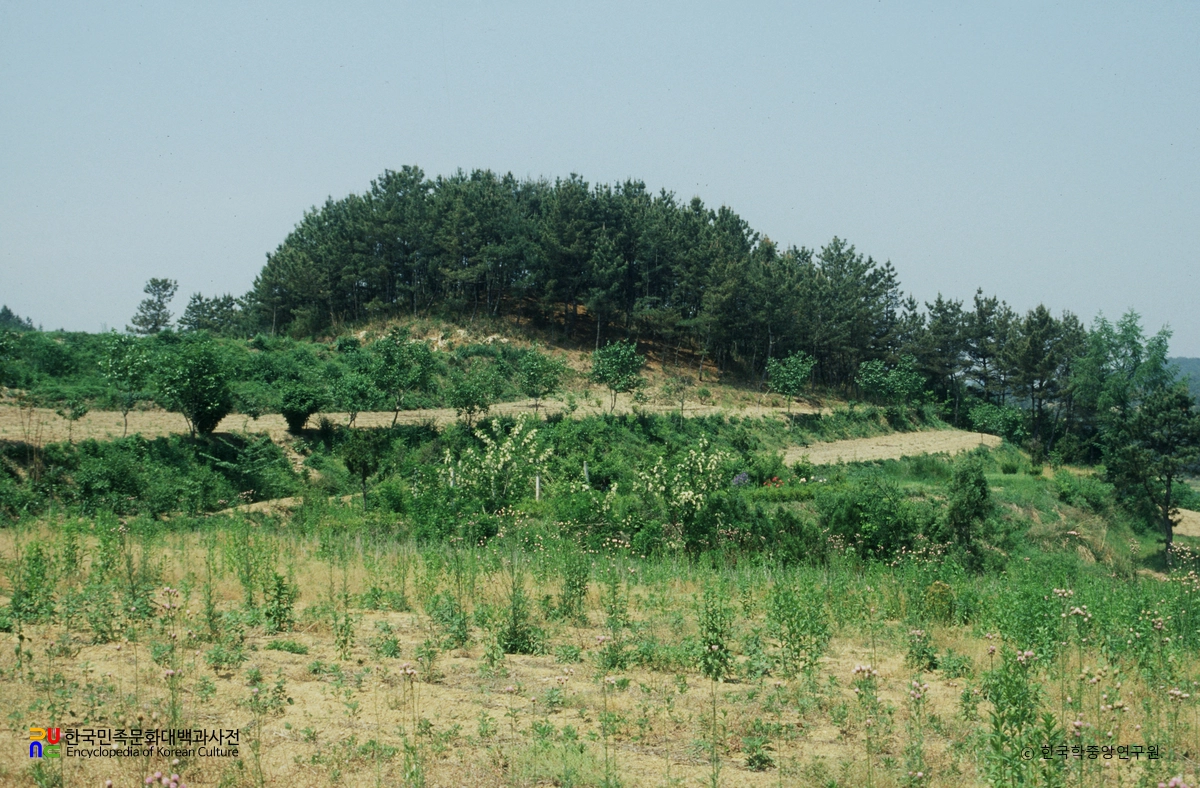 함안 신음리 고분군