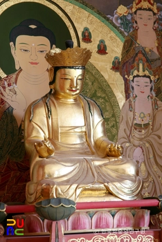 제주 삼광사 소장 목조슬롯사이트 바로가기