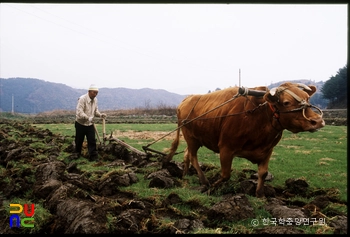 쟁기질