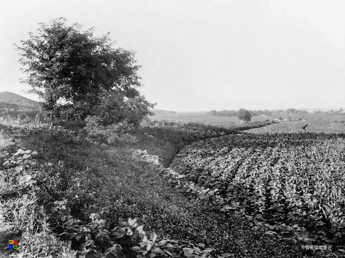 강릉 전 예국성 북벽