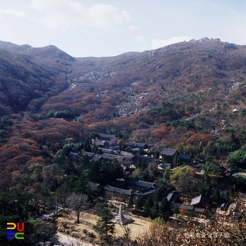부산 마카오 슬롯 머신 후기 전경
