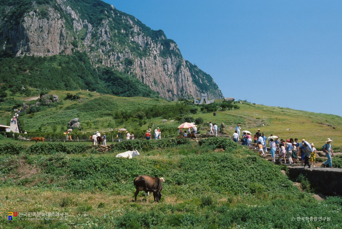 제주 산방산 암벽식물지대