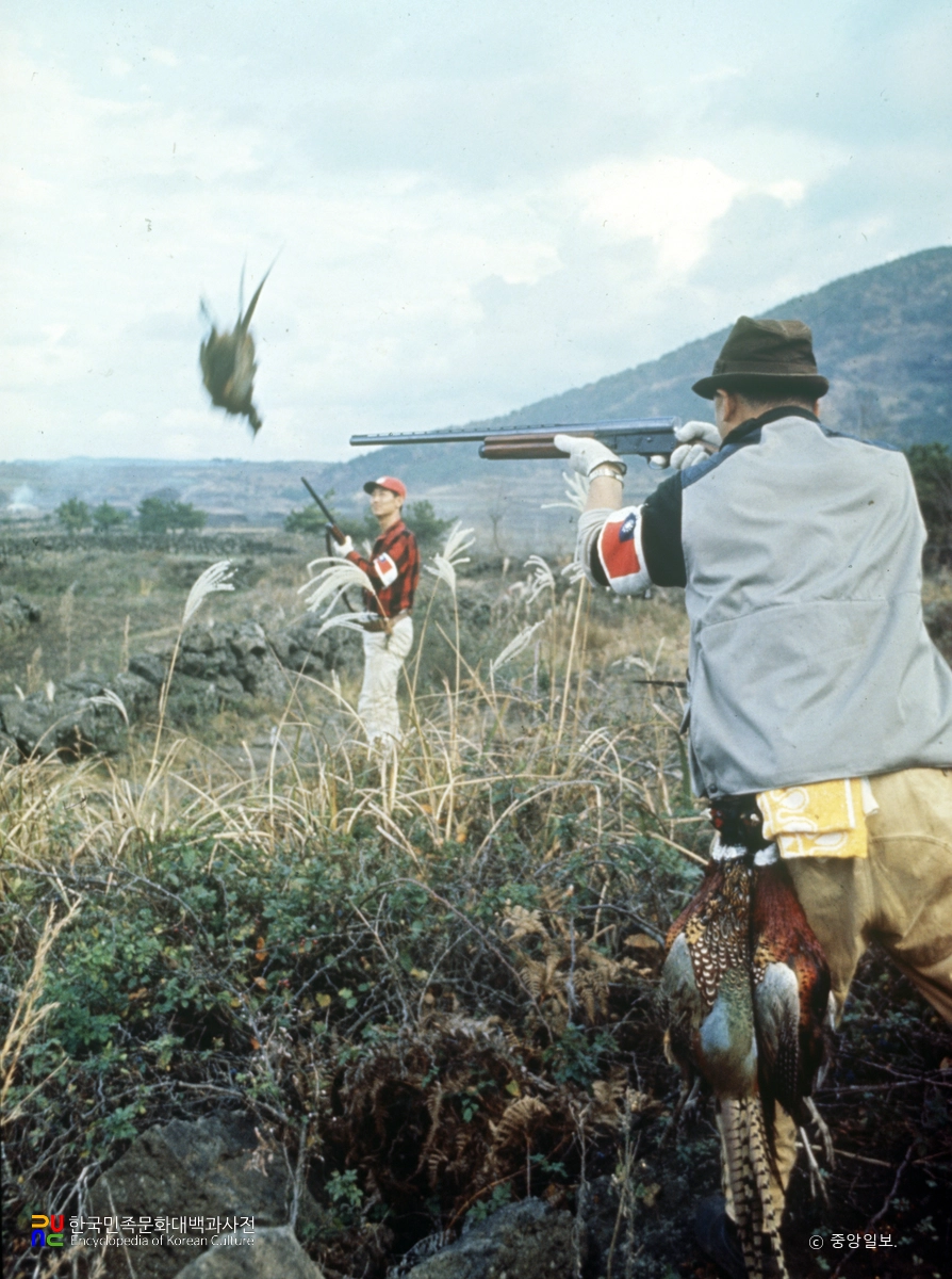 꿩 사냥