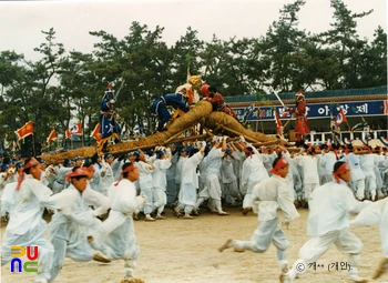 용호놀이