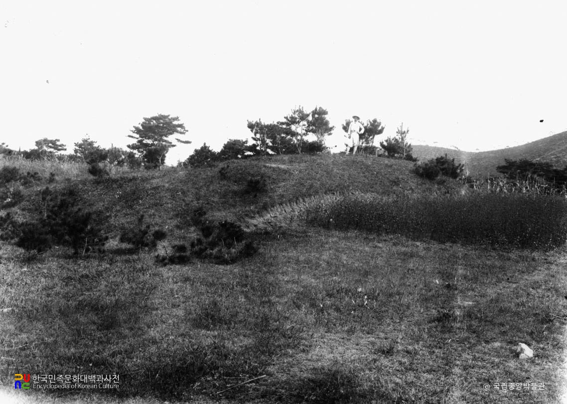 전남 나주 대안리 8호분 전경